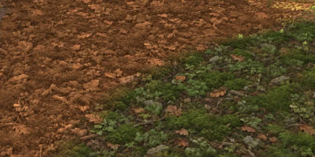 Woodland in the game
