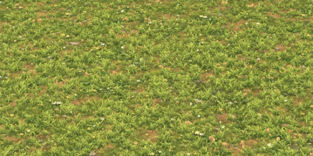 Meadow in the game